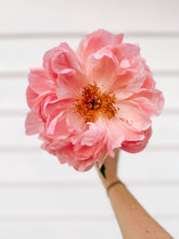 Load image into Gallery viewer, Peony Coral Charm