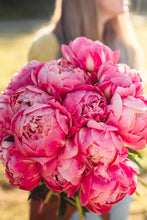 Load image into Gallery viewer, Peony Coral Charm