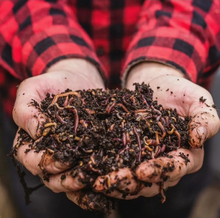Load image into Gallery viewer, COMPOST TEA WORKSHOP WITH TERRA FLORA