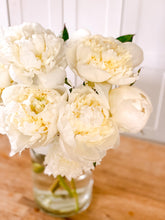 Load image into Gallery viewer, Peony Duchesse de Nemours