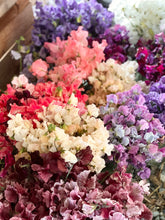 Load image into Gallery viewer, Five Acres Sweet Pea Mix