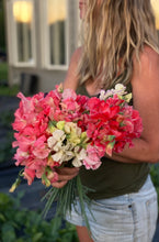 Load image into Gallery viewer, Five Acres Sweet Pea Mix