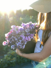 Load image into Gallery viewer, Five Acres Sweet Pea Mix