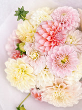 Load image into Gallery viewer, September Dahlia Subscription - Three Weeks of Dahlias in September
