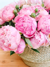 Load image into Gallery viewer, Peony Sarah Bernhardt