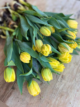 Load image into Gallery viewer, Tulip Foxy Foxtrot
