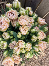 Load image into Gallery viewer, Tulip Pink Mist
