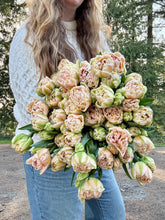 Load image into Gallery viewer, Tulip Pink Mist
