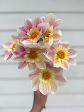 Load image into Gallery viewer, Dahlia Ferncliff Dolly
