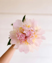 Load image into Gallery viewer, Peony Raspberry Sundae
