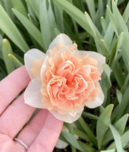 Load image into Gallery viewer, Narcissus Flower Surprise
