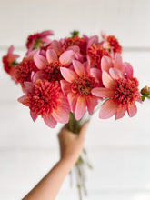 Load image into Gallery viewer, Dahlia Totally Tangerine
