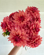 Load image into Gallery viewer, Dahlia Cheers
