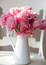 Load image into Gallery viewer, Tulip Pink Magic
