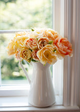 Load image into Gallery viewer, Tulip Charming Beauty
