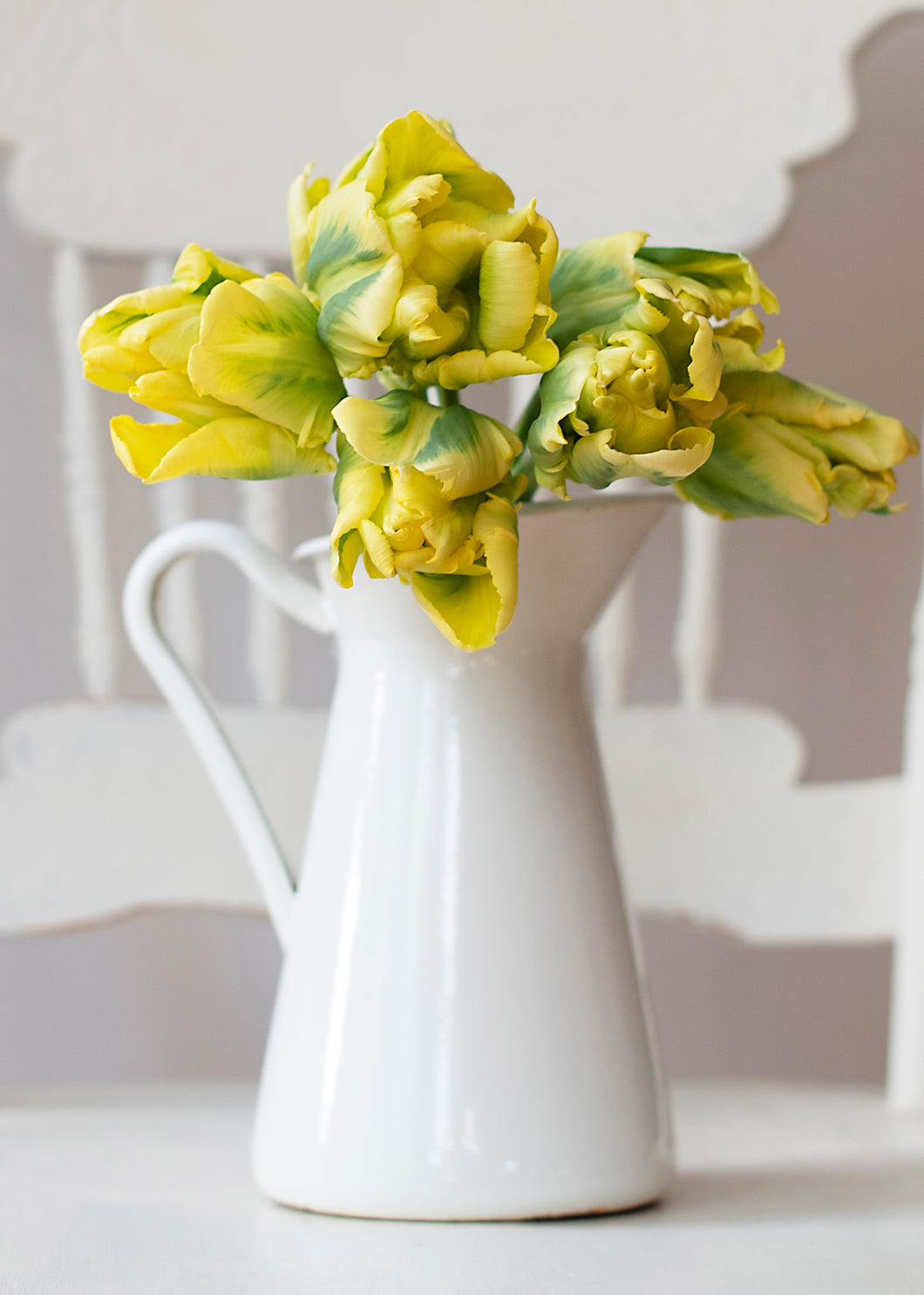 Tulip Yellow Madonna
