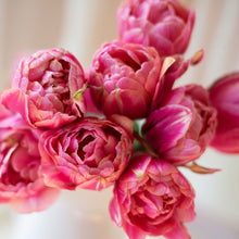 Load image into Gallery viewer, Tulip Voque
