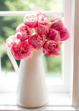 Load image into Gallery viewer, Tulip Voque
