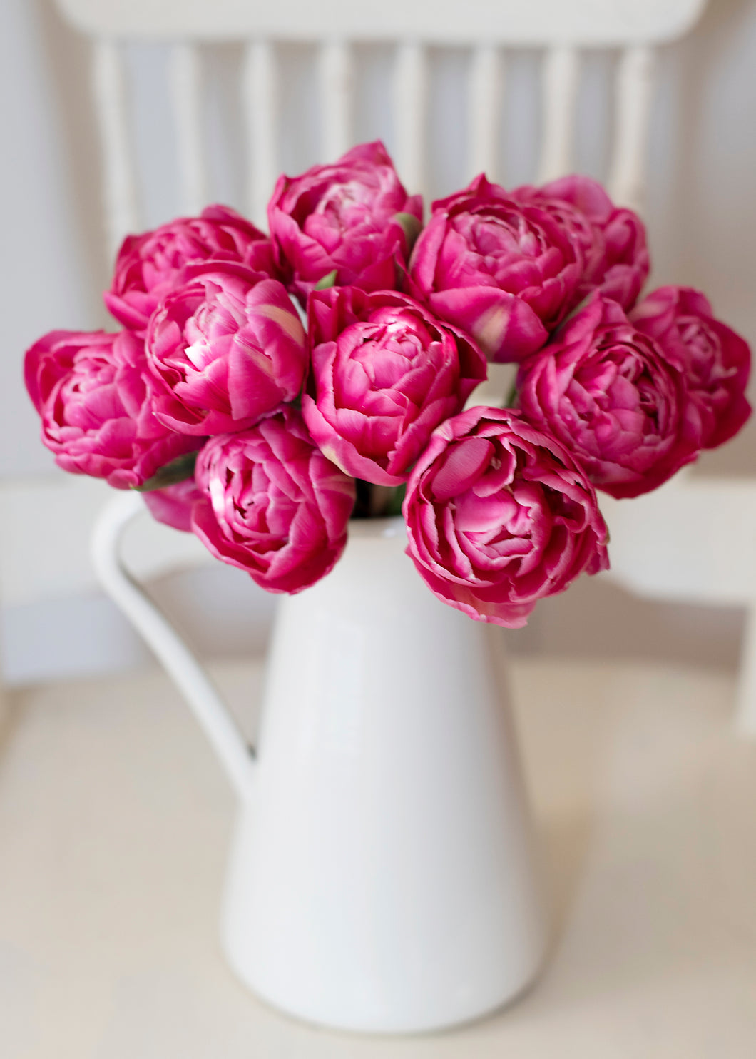 Tulip Pink Cameo