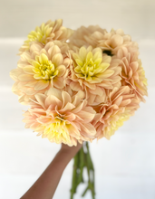Load image into Gallery viewer, Dahlia Day Dreamer
