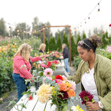 Load image into Gallery viewer, Friday October 11th Thanksgiving Dahlia Bouquet Workshop
