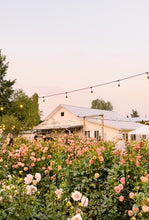 Load image into Gallery viewer, Dahlia School at Five Acres - Saturday October 14th 2023
